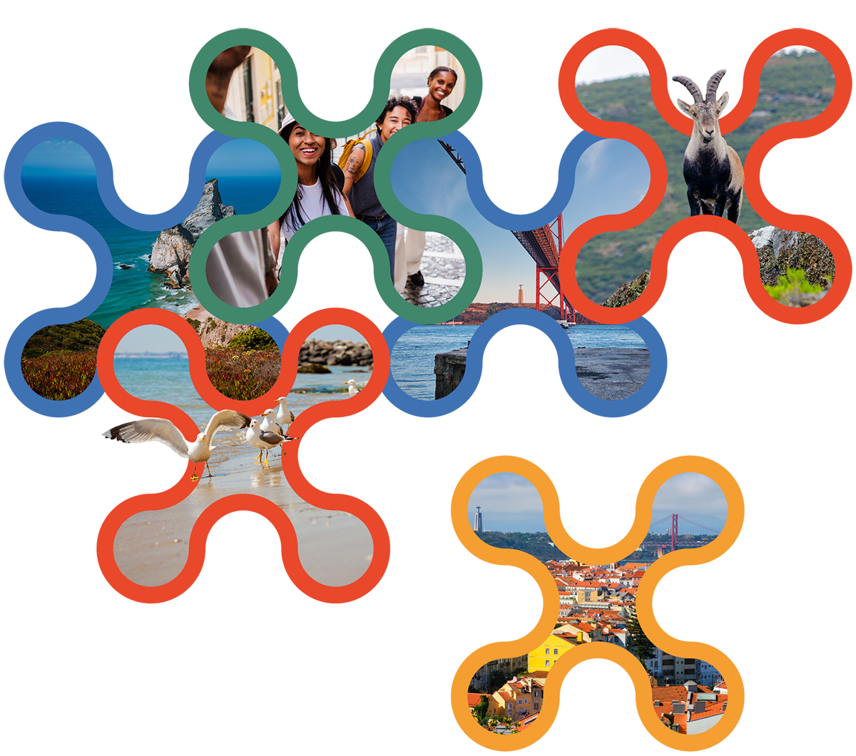 9th World One Health Congress